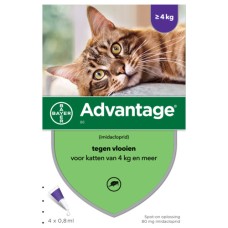 Advantage Kat (meer dan 4 kg)